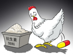 食品抗生素層出不窮，如何檢測？